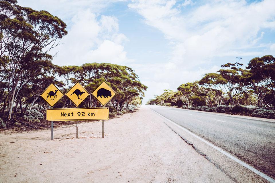 Australia travel tips road trip roads