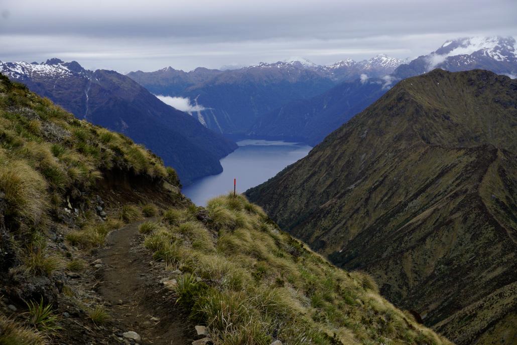View into Fjordland