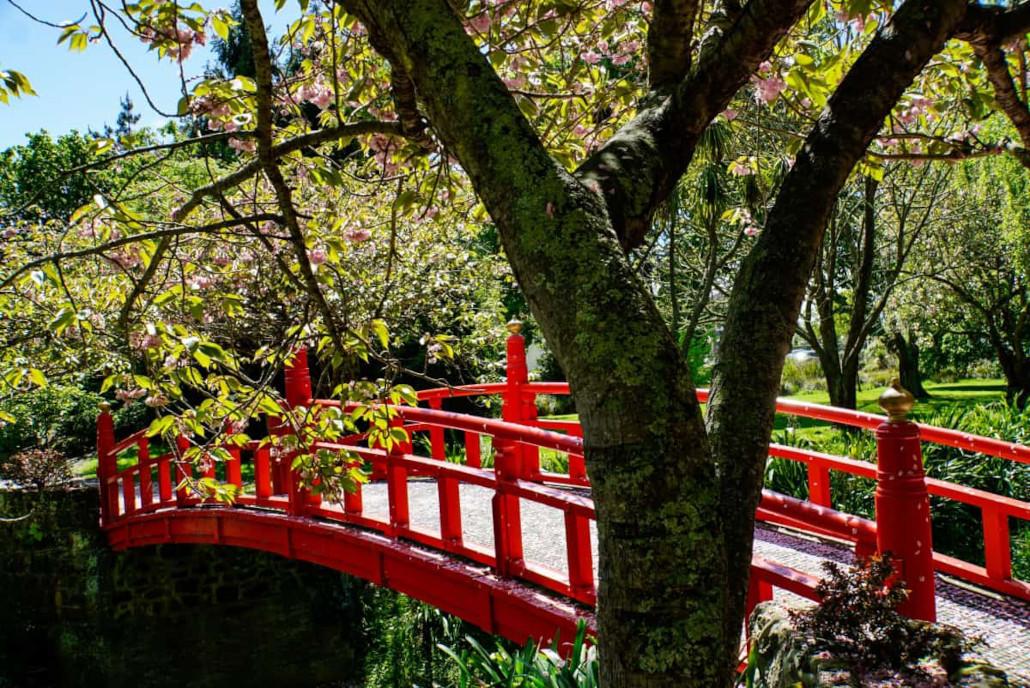 Japanese Garden in Oamaru
