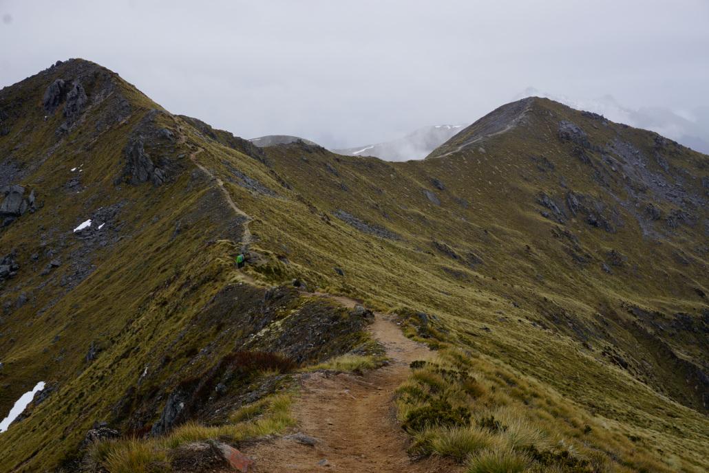 Hiking paths on the Kepler Track