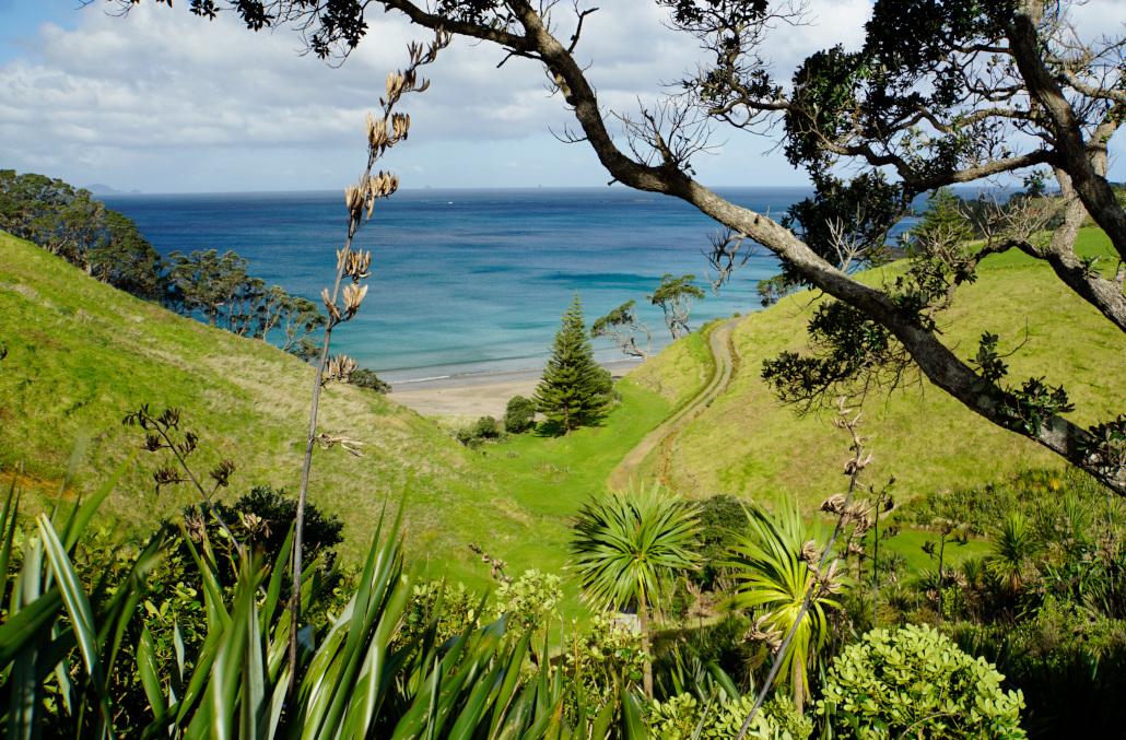Northland Coast