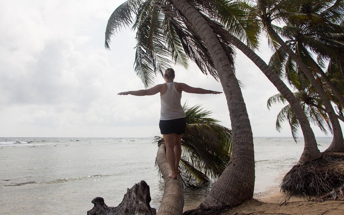 Isla Aguja San Blas Guna Yala 