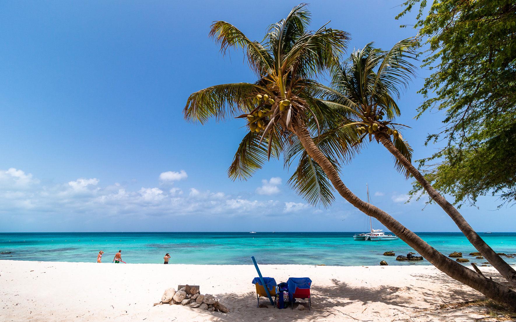 Boca Catalina, palmbomen. Aruba