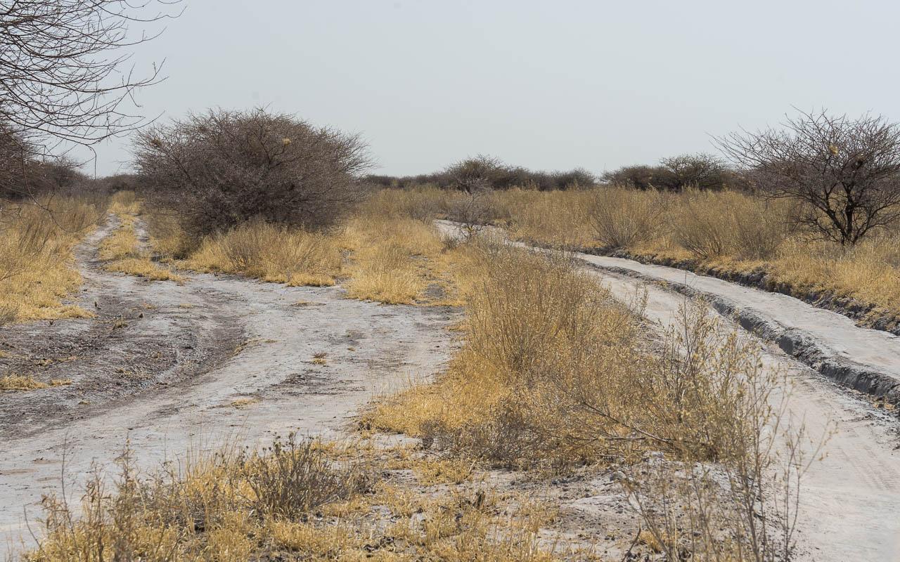 Driving in Botswana tips speed CKGR