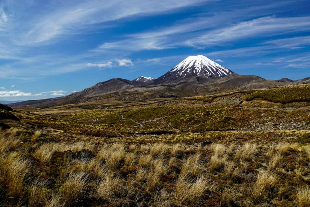 Tussock grass in front of Ruapehu with Snow Peak