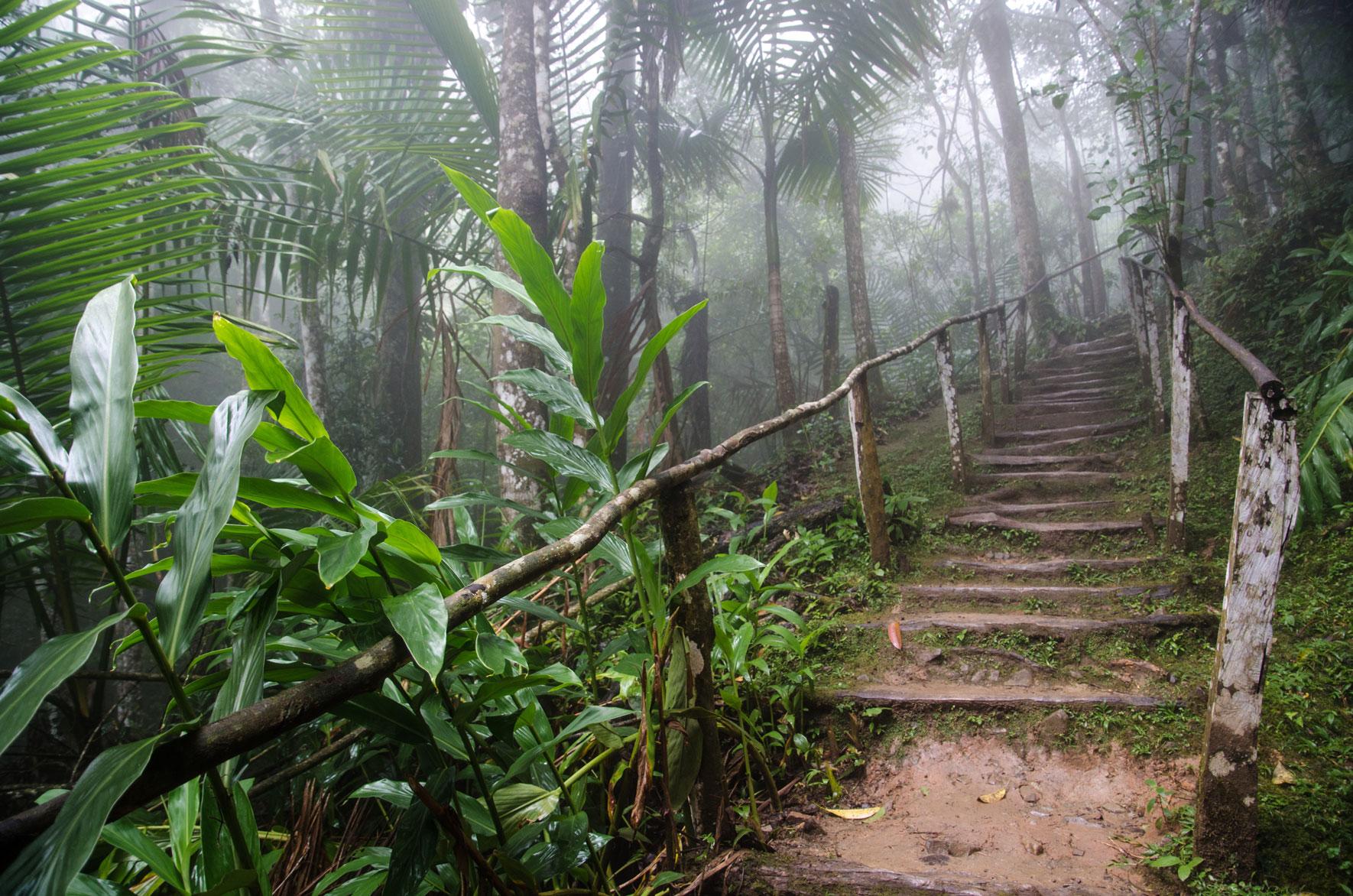 Path Sierra Maestra Cuba