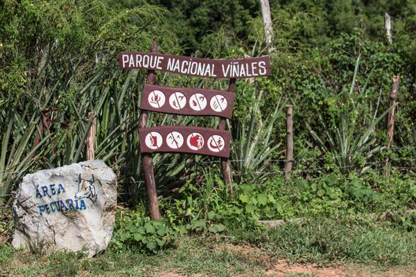 Plantations in Vinales