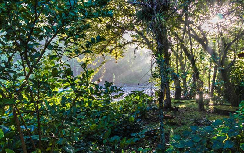 Sierra Maestra Cuba