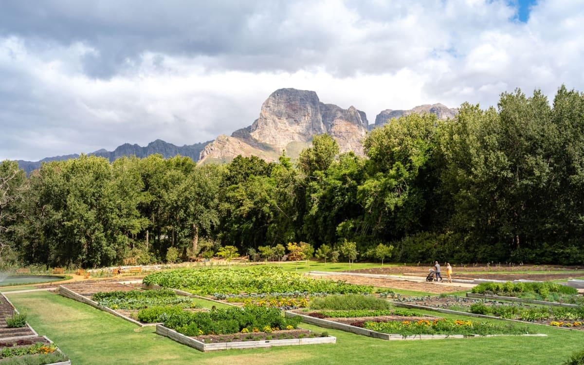 Most beautiful winery in South Africa: Boschendal in Stellenbosch