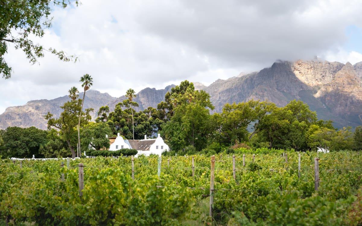 Allee Bleue Winery Franschhoek