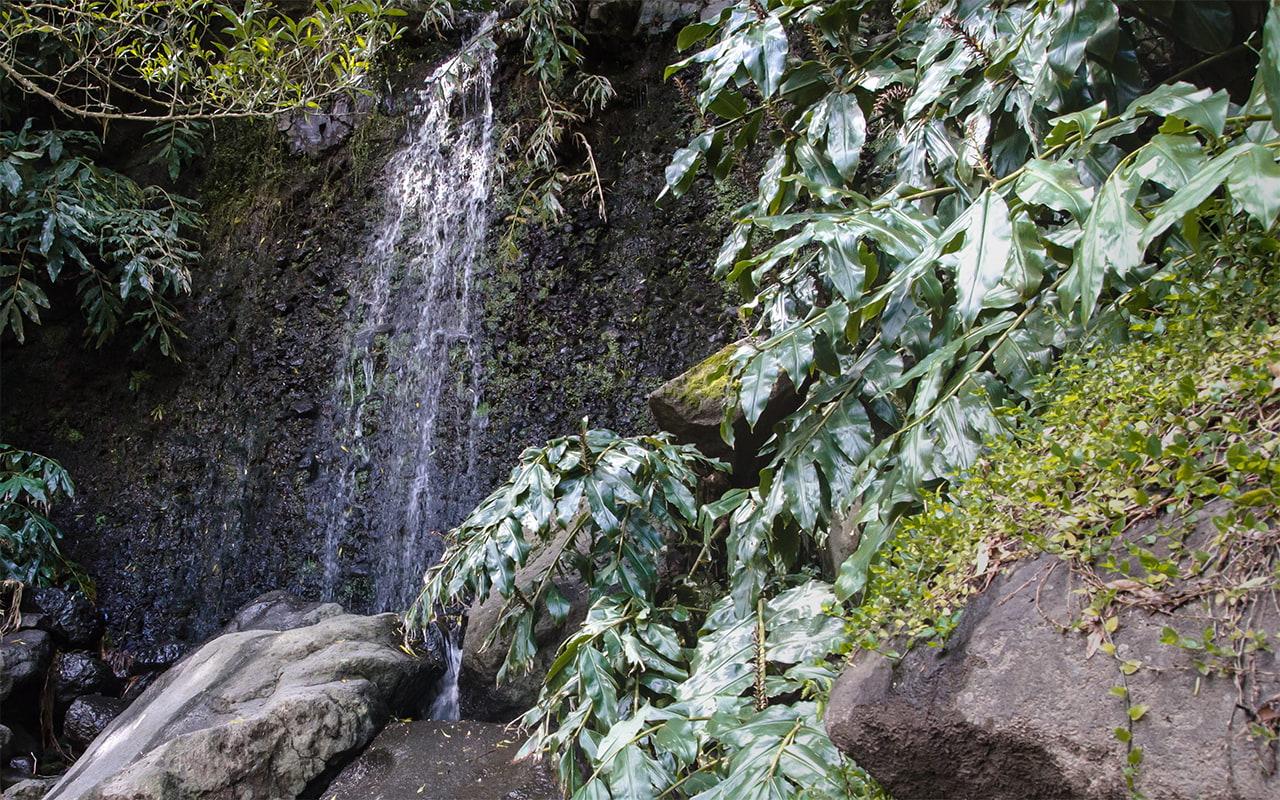 Not the Salto do Prego Azores island São Miguel