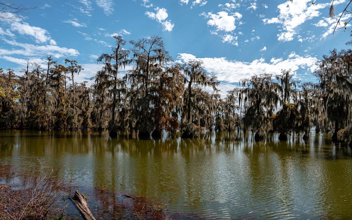 Lake Martin Lafayette