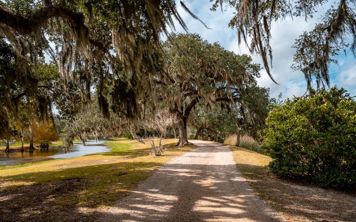 Avery Island Road to the Jungle Gardens