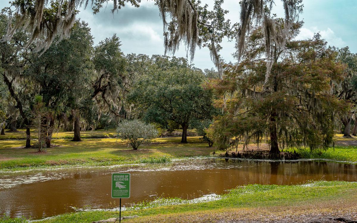 Avery Island Jungle Gardens Louisiana