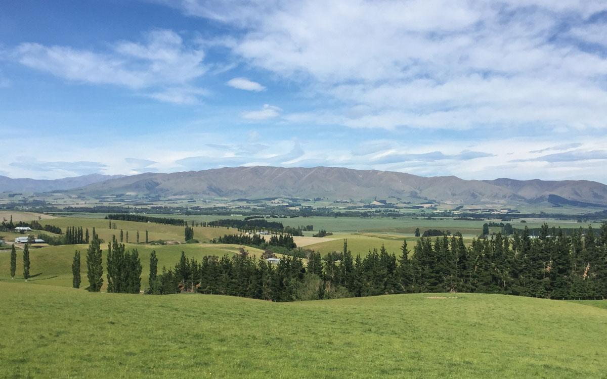 new-zealand-south-island-franz-josef-1