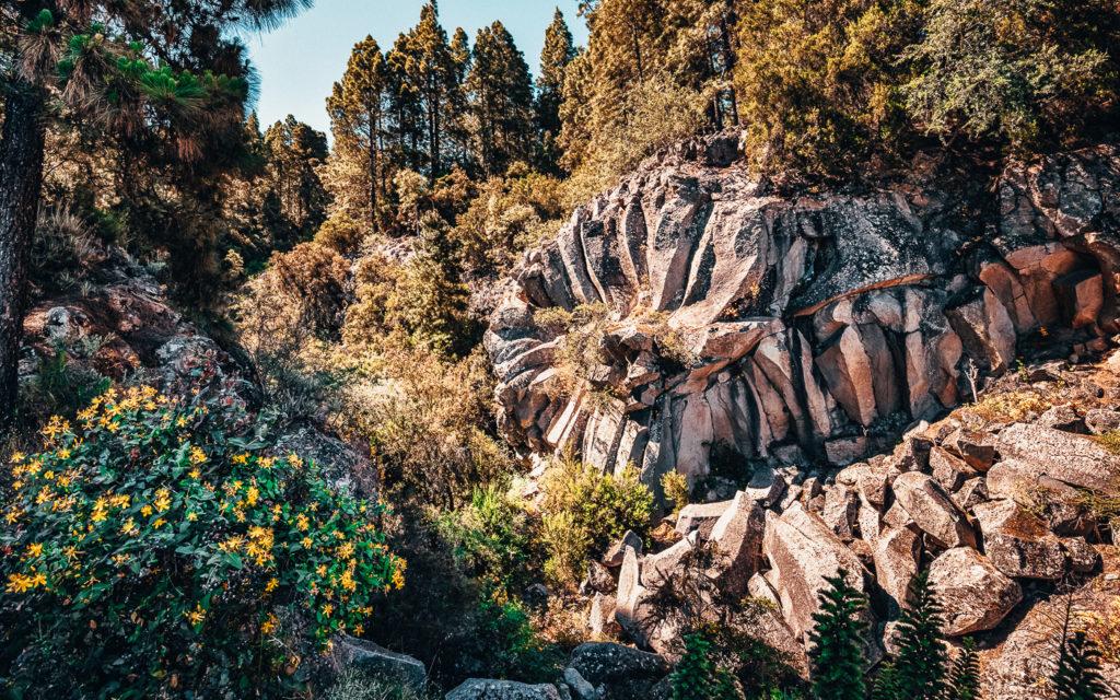 Piedra de la Rosa Tenerife Sights Teide