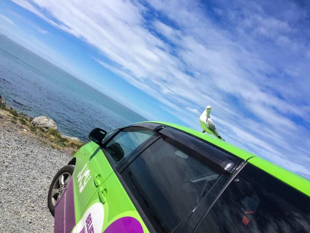 Campervan in New Zealand