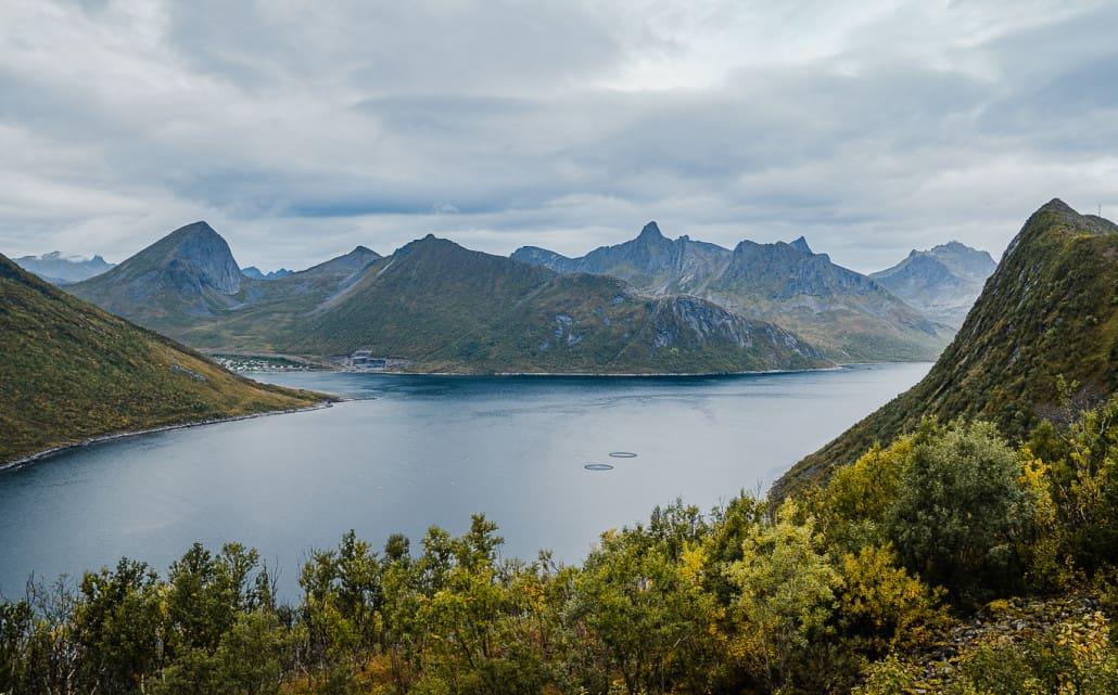 Île Senja nord Norvège