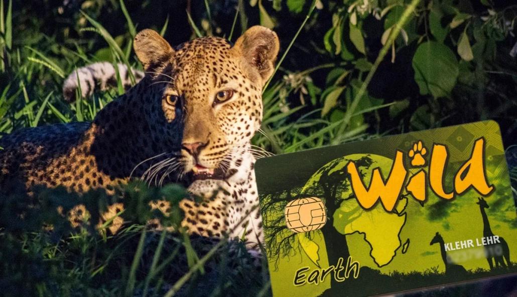 Carte Wild Card Parc national Afrique du Sud