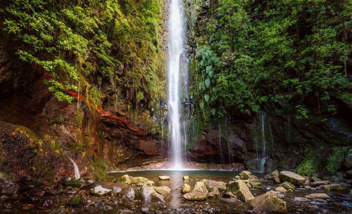 Lavadas Fontanas Hiking Madeira