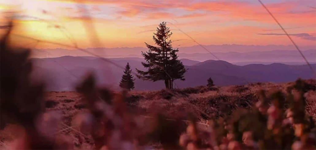 Black Forest Sunrise Belchen