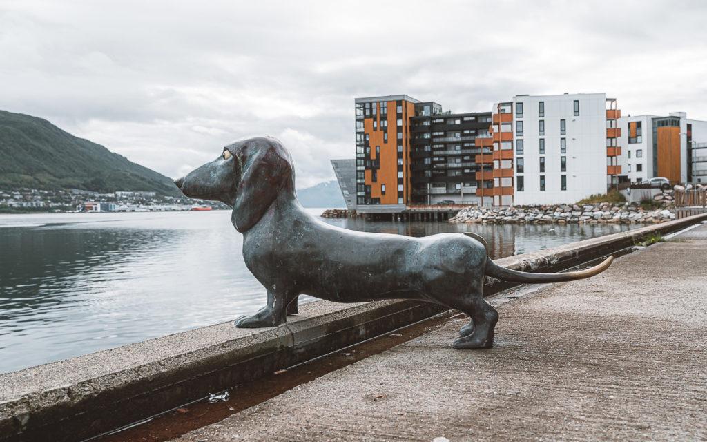 Statue de teckel Tromsø