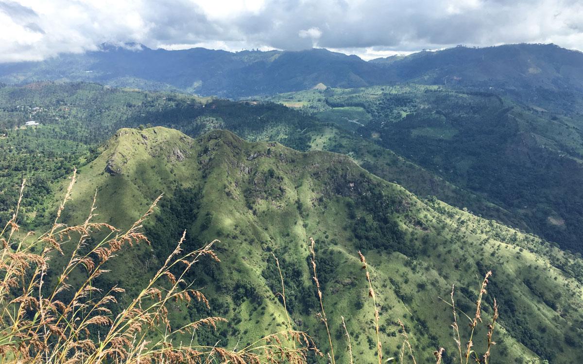 View Ella Rock from Little Adams Peak