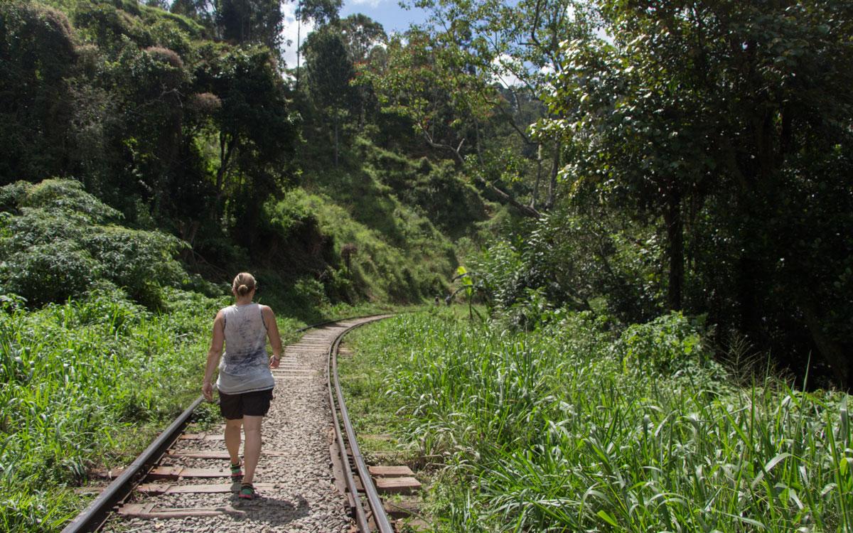 ella-rock-rail-tracks-path