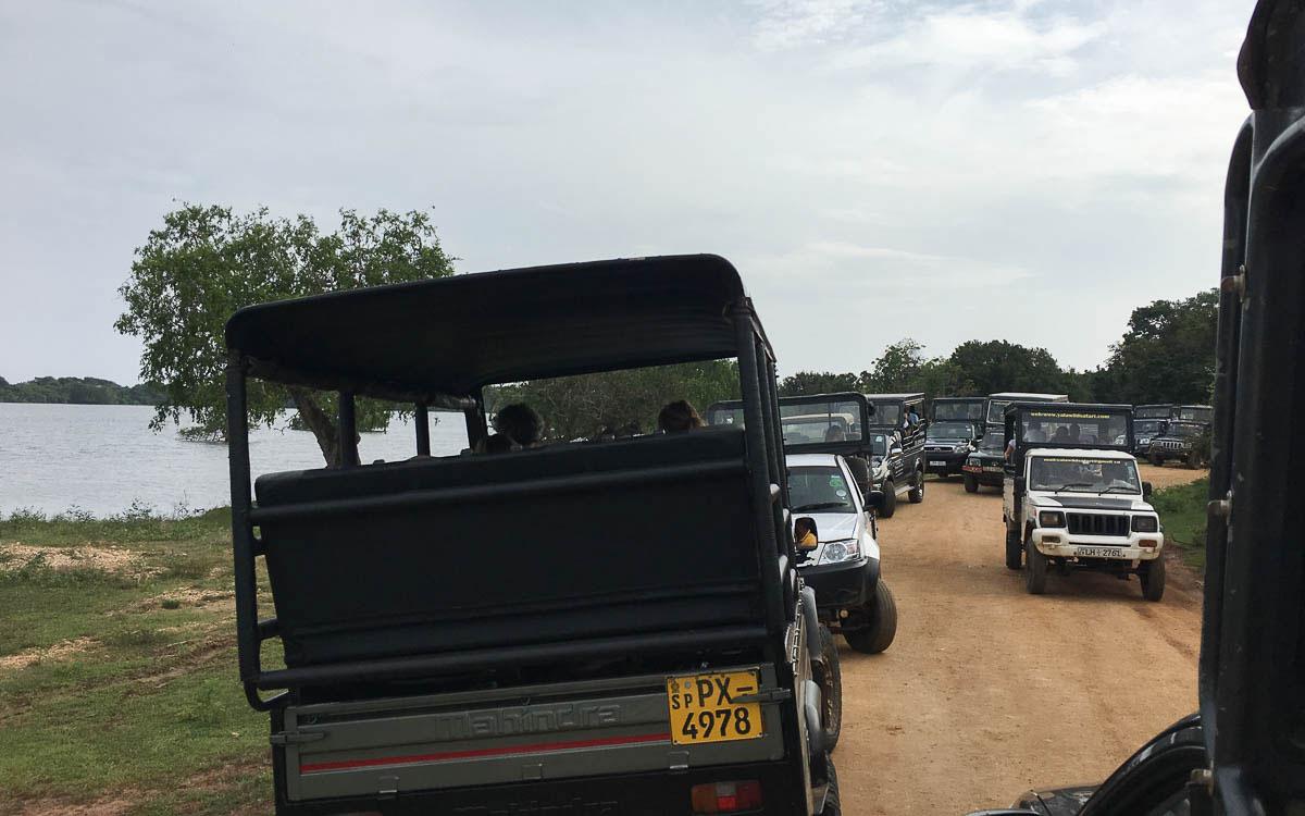 Animal protection in Sri Lanka Yala National Park