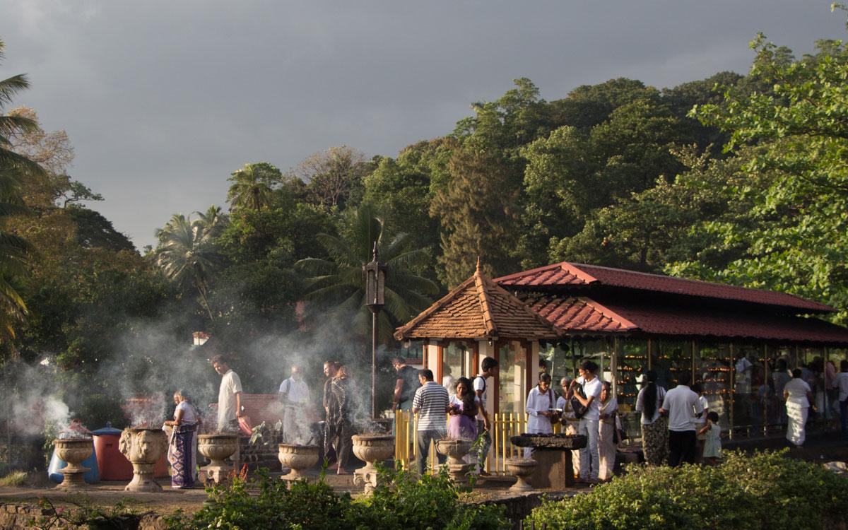 tooth-temple-kandy-8