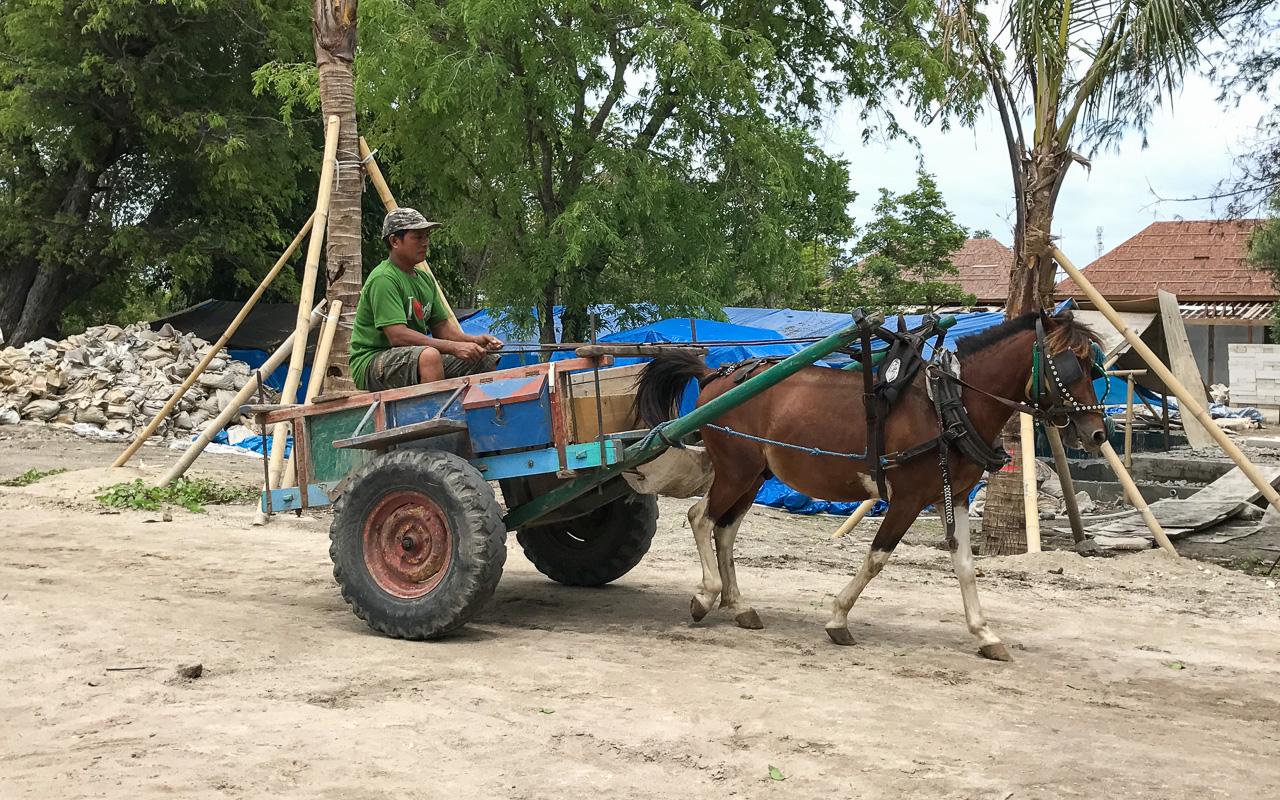 Gili Islands Gili Meno carrêches à cheval