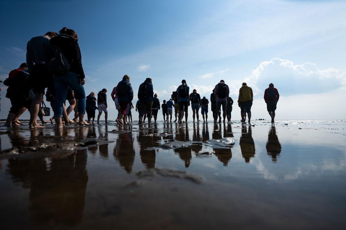 Hoogtepunt bij eb: Een wadwandeling in het Nationaal Park Waddenzee op Sylt.