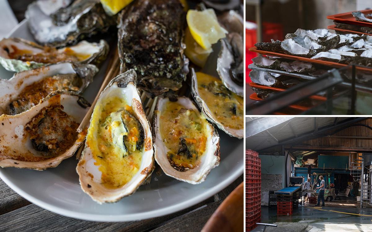 Culinaire hoogtepunt Sylter Royal Oester List