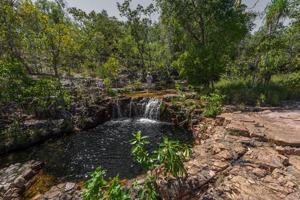 Chutes de Tjaetaba Creek Greenant parc national de Litchfield
