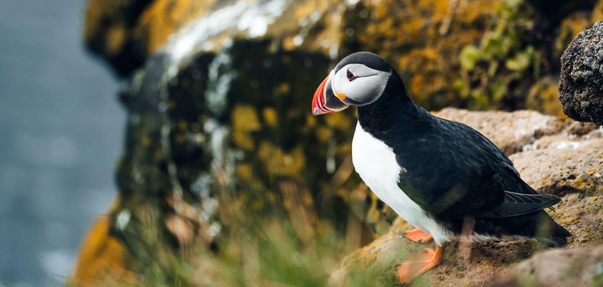 When is the best time to visit Iceland?
