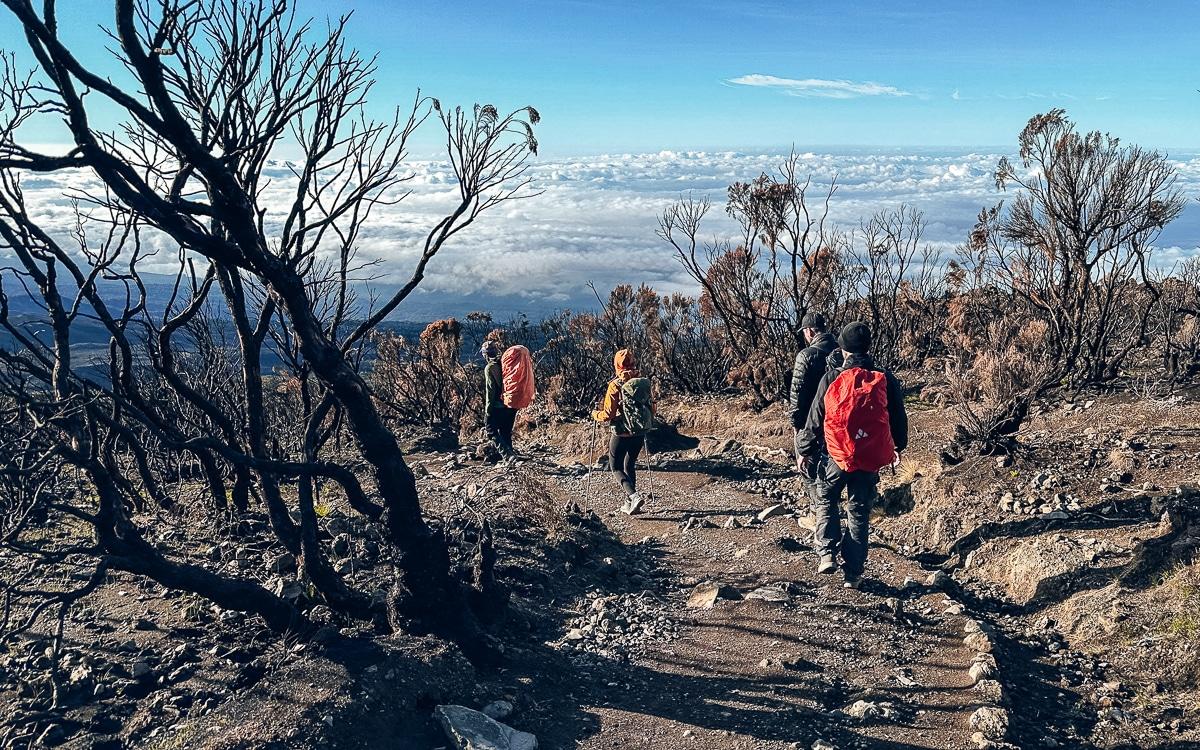 Descent from High Camp on Kilimanjaro