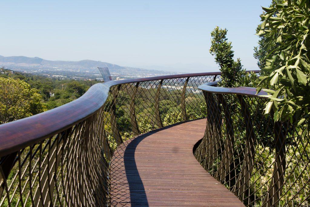 Tree Canopy Path Kirstenbosch Cape Town