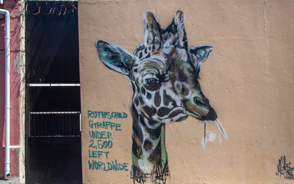 Street Art Woodstock, Cape Town