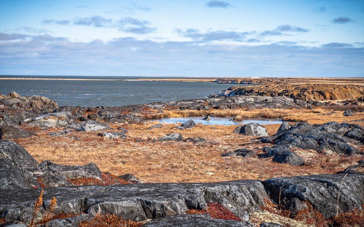 Visite Nature 1st à Churchill