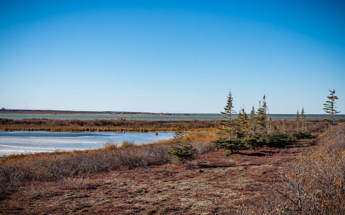 Zones climatiques à Churchill