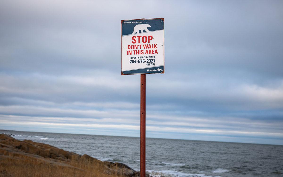 Avertissement ours polaire à Churchill