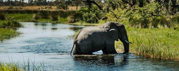 Botswana Travel Tips