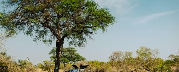 Botswana Travel Report Self Drive