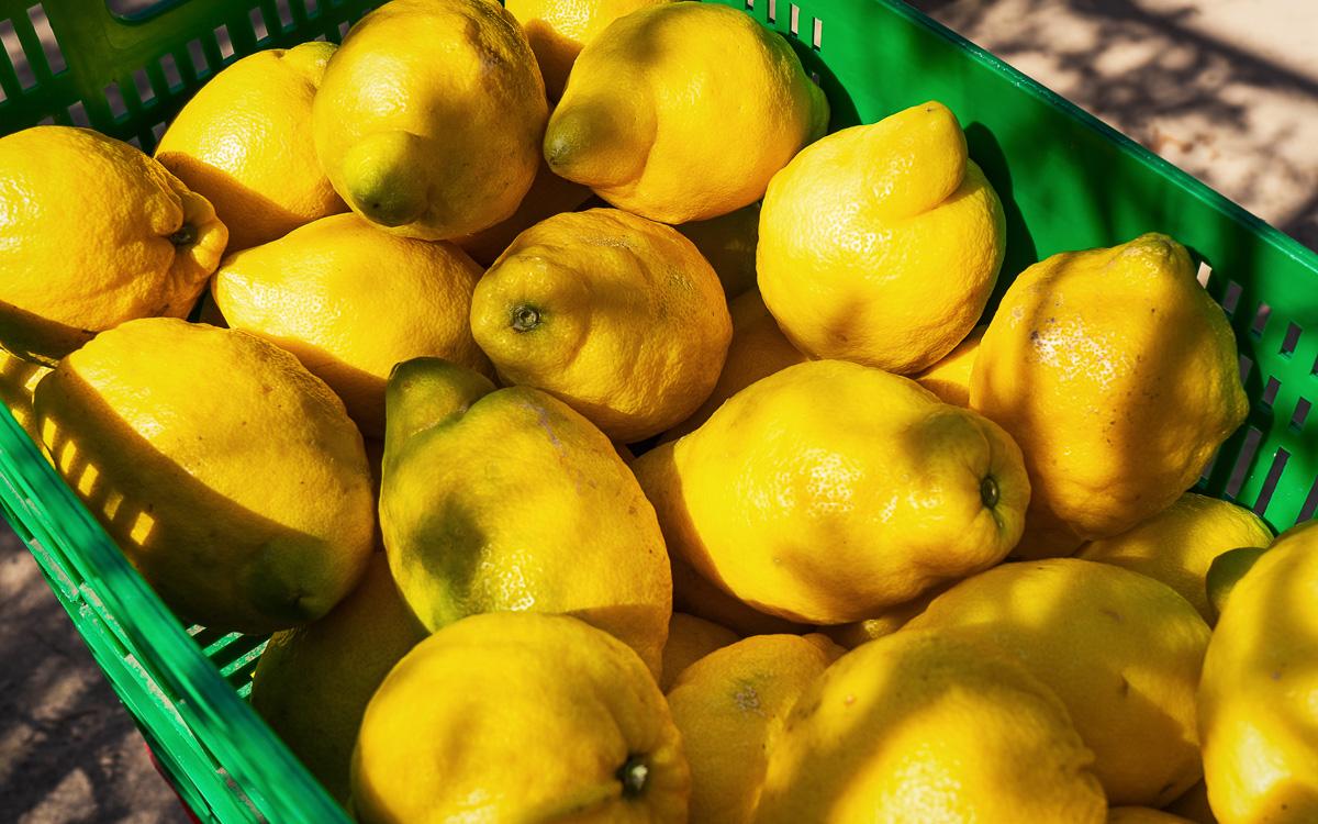 mallorca-tips-soller-lemons