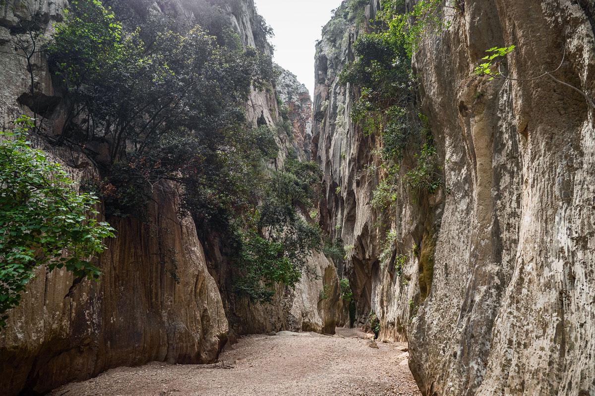 Torrent de Pareis is almost a 7 km long hike through this gorge