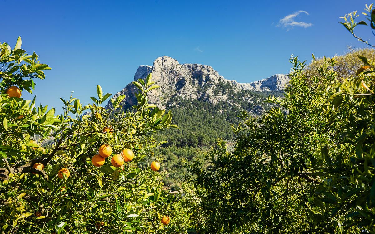 mallorca-tips-soller-view