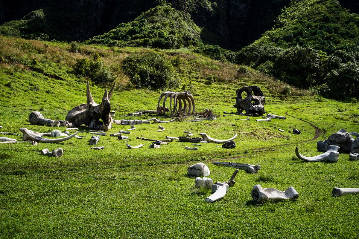 Kualoa Ranch is a popular filming location