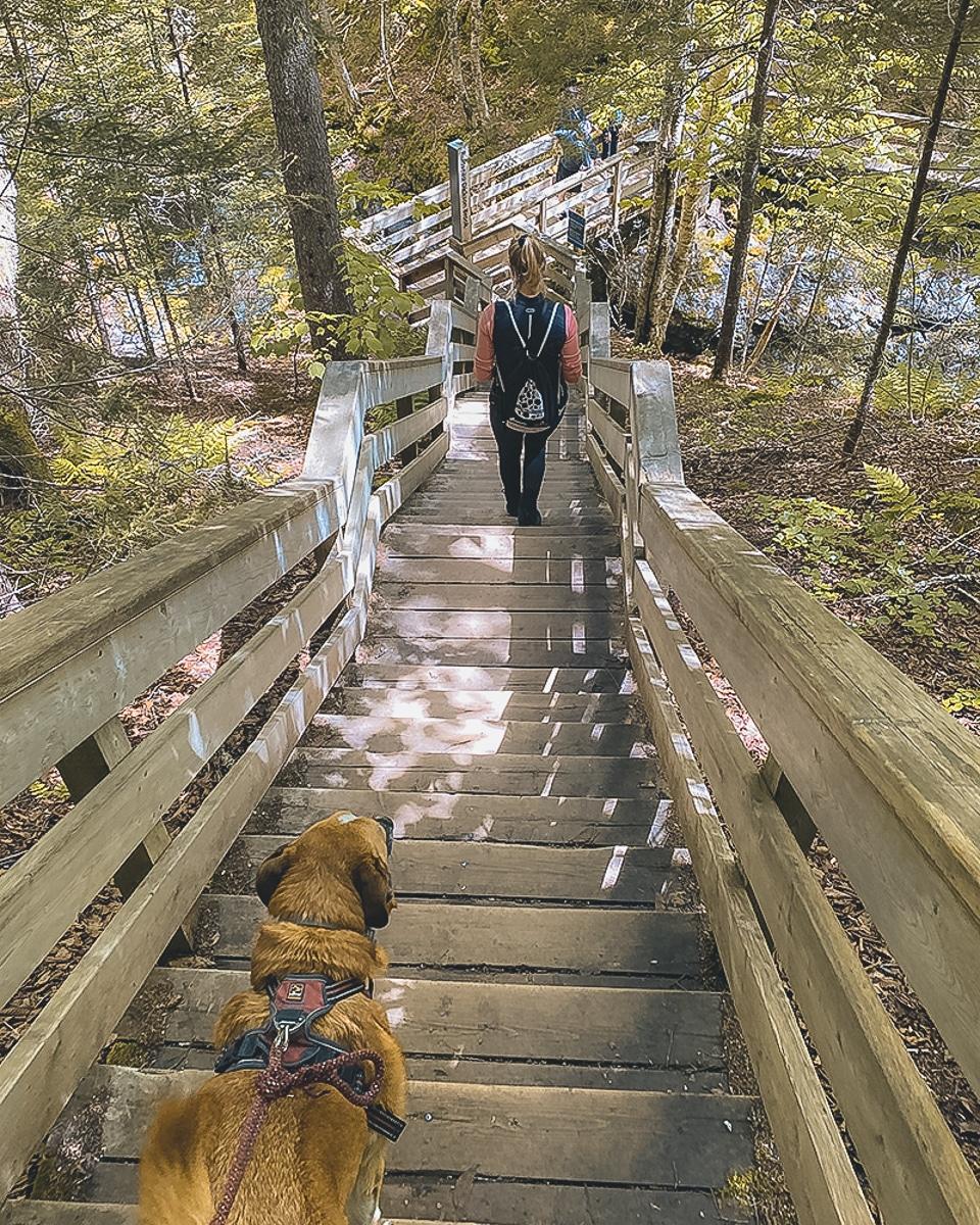 Randonnée dans le parc national de Fundy. Nouveau-Brunswick, Canada