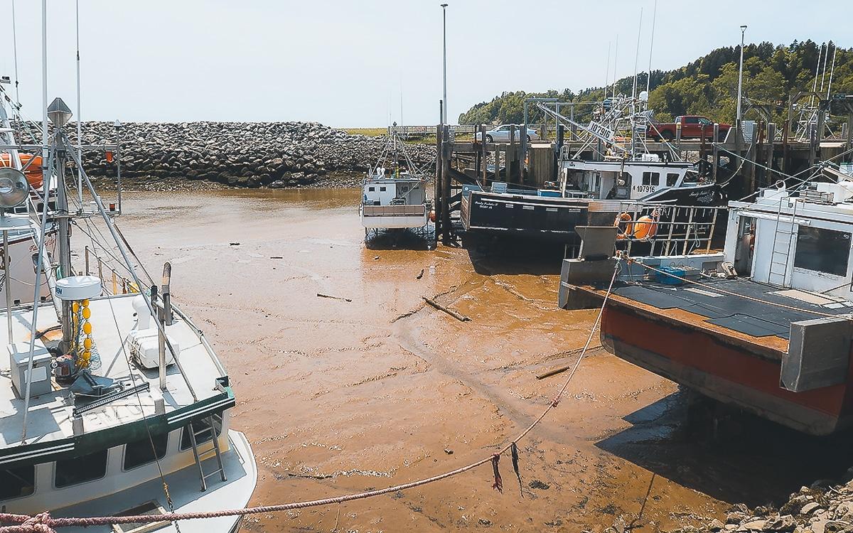 Bateaux dans le port à marée basse, baie de Fundy - Nouveau-Brunswick, Canada
