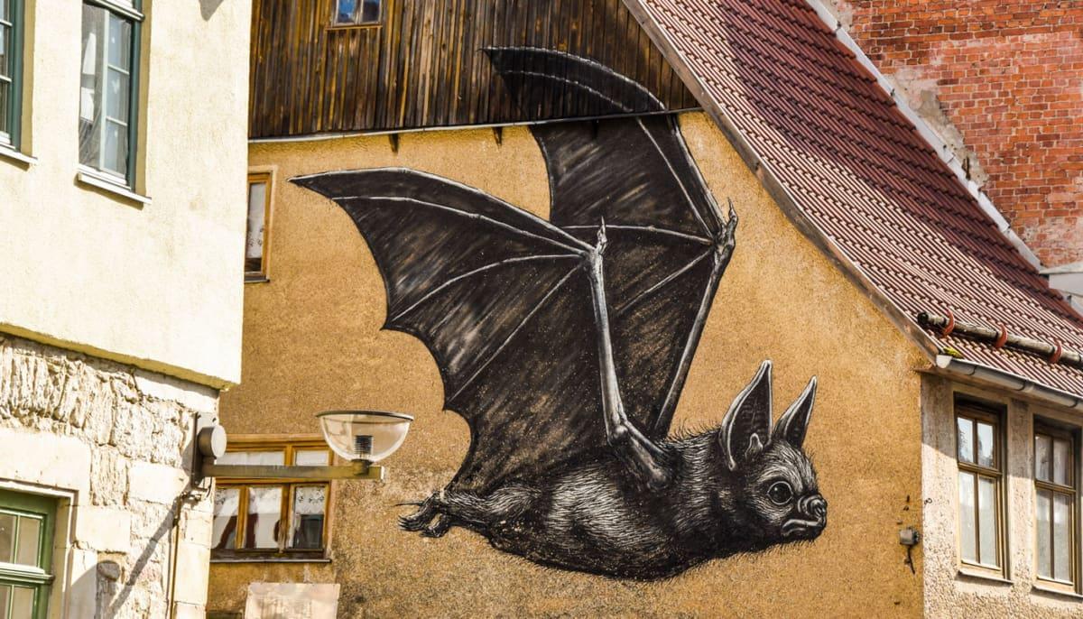 Schmalkalden Street-Art van ROA
